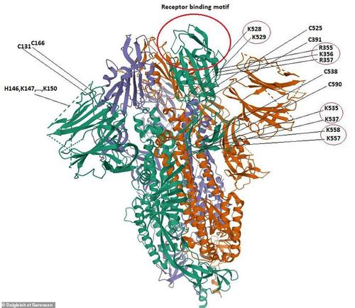 How Countries Are Using Genomics to Avoid a Second Infection