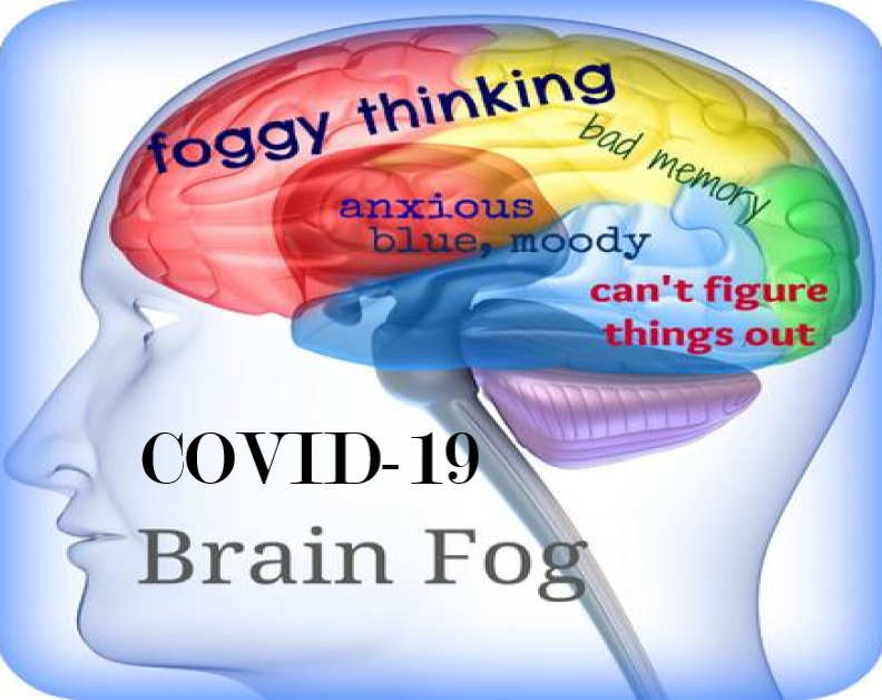 COVID-19 and Brain Fog: A Possible Long-Term Effect