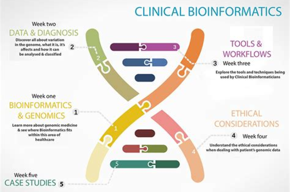 Integrative clinical, genomics and metabolomics data analysis for mainstream precision medicine to investigate COVID-19