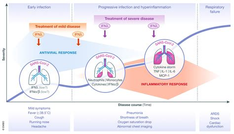 In the lab, scientists identify possible COVID-19 treatment