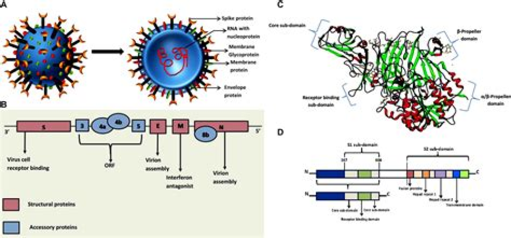 SARS-CoV-2 viral genomics