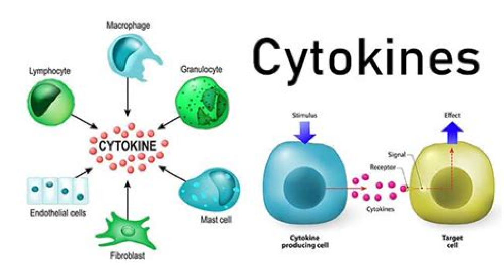 Cytokine Storm