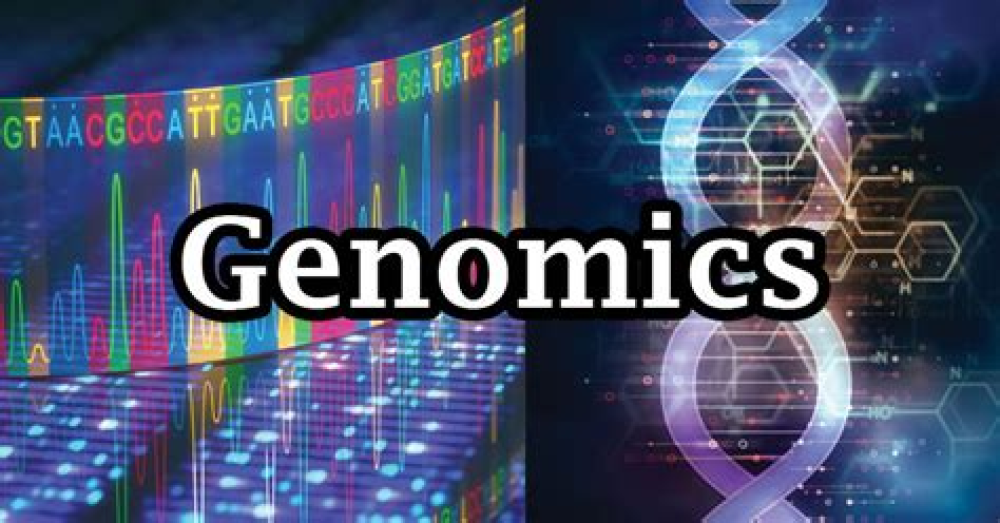 Coronavirus genomics and bioinformatics analysis