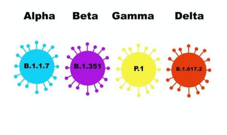 New ‘Delta Plus’ COVID Variant Detected In San Francisco Bay Area: ‘It’s At Least As Bad’ As Original