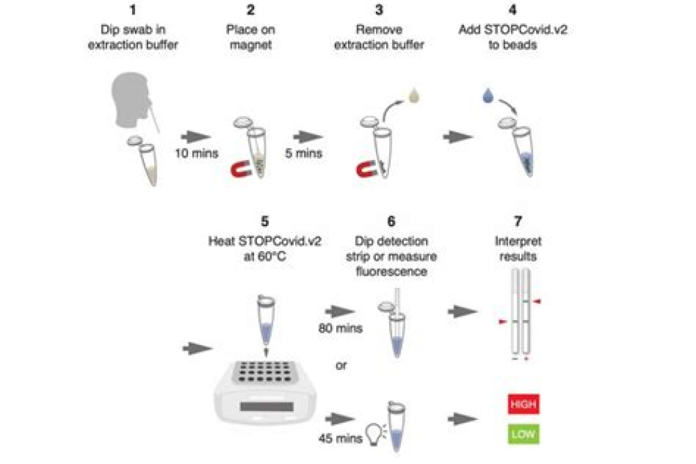 Rapid detection of novel coronavirus/Severe Acute Respiratory Syndrome Coronavirus 2 (SARS-CoV-2) by reverse transcription-loop-mediated isothermal amplification