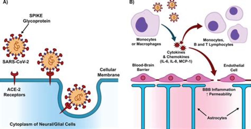 COVID Vaccines May Bring Avalanche of Neurological Disease