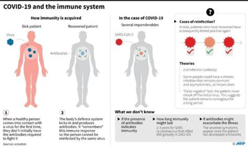 Coronavirus and the Nervous System