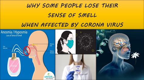 Anosmia and dysgeusia in SARS-CoV-2 infection: incidence and effects on COVID-19 severity and mortality, and the possible pathobiology mechanisms – a systematic review and meta-analysis