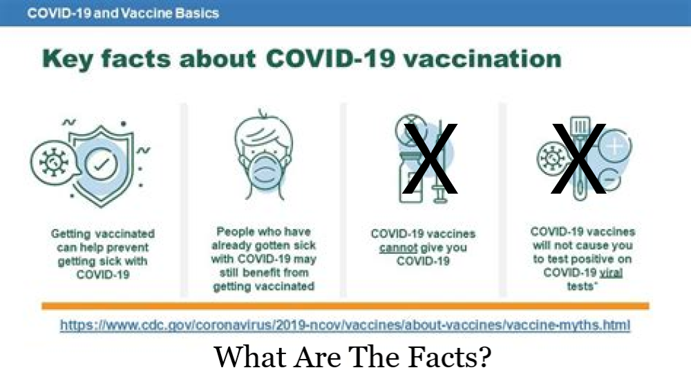 Former VP of Pfizer warns of government lies about Covid and the dangers of the vaccine ostensibly designed to combat it