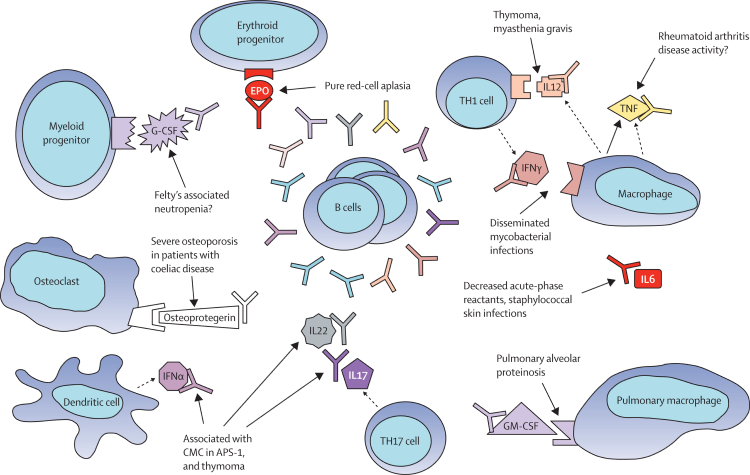 Scientists Identify Factors That Appear Linked to Long Covid