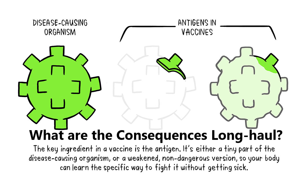 Resolving “Long-Haul COVID” and Vaccine Toxicity: Neutralizing the Spike Protein