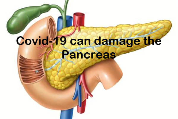Consequences of COVID-19 for the Pancreas