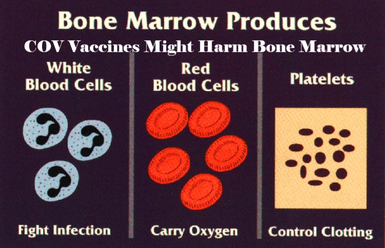 Bone Marrow Suppression Secondary to the COVID-19 Booster Vaccine: A Case Report