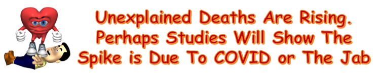 The unexplained rise in excess deaths around the world