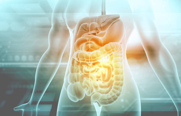 Long COVID and the digestive system: Mayo Clinic expert describes common symptoms