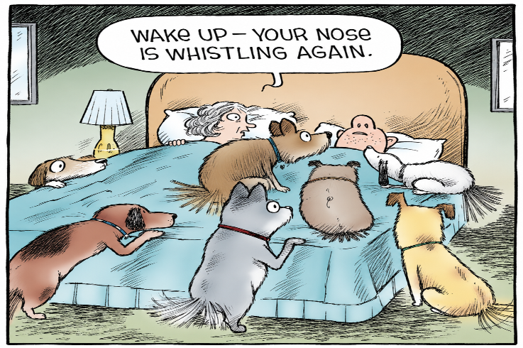 Sleep Disturbance as a Pre-Existing Biological Risk Factor for Long COVID: