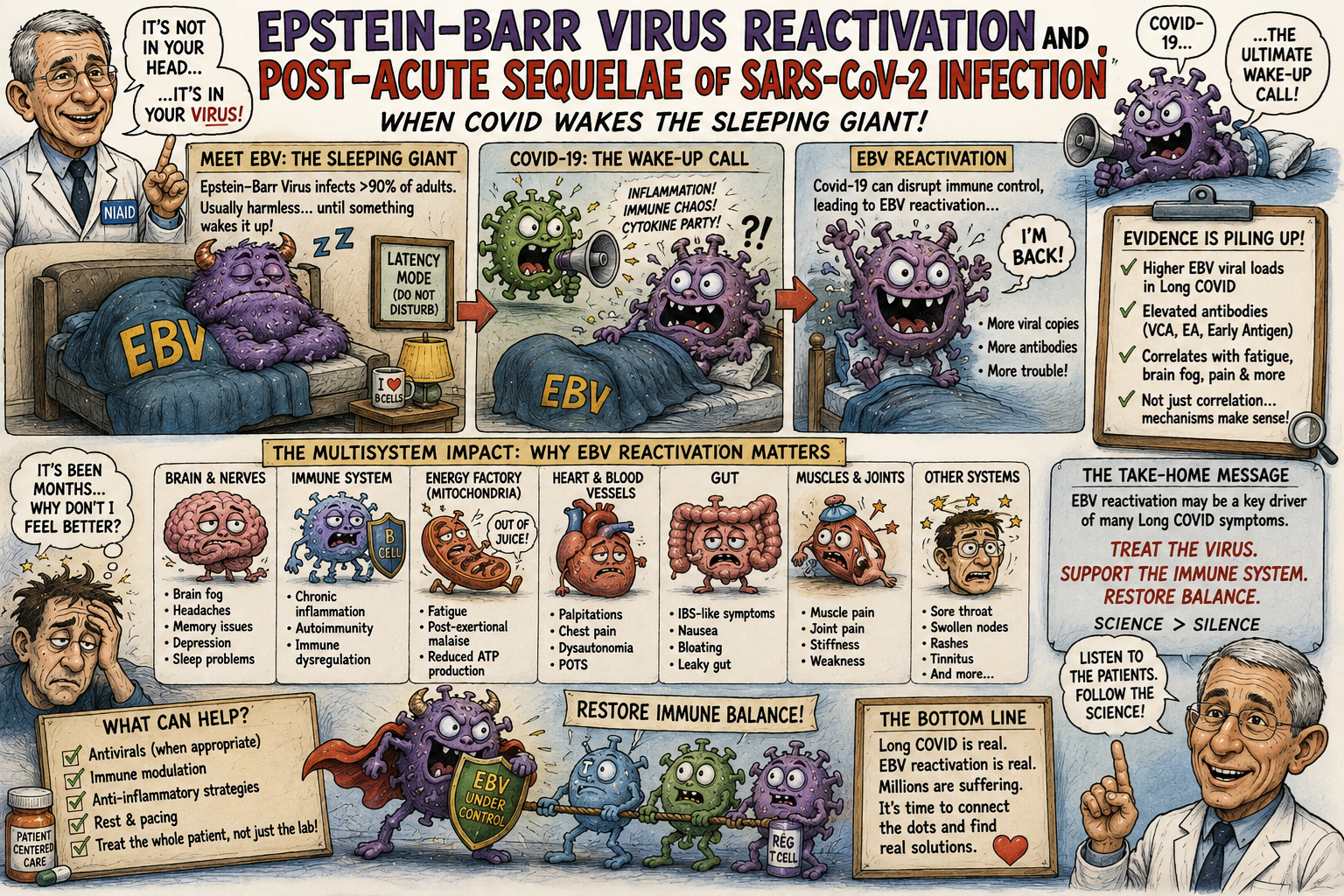 Epstein–Barr Virus Reactivation and Post-Acute Sequelae of SARS-CoV-2 Infection: A Mechanistic Framework for a Viral–Immune Subtype of Long COVID