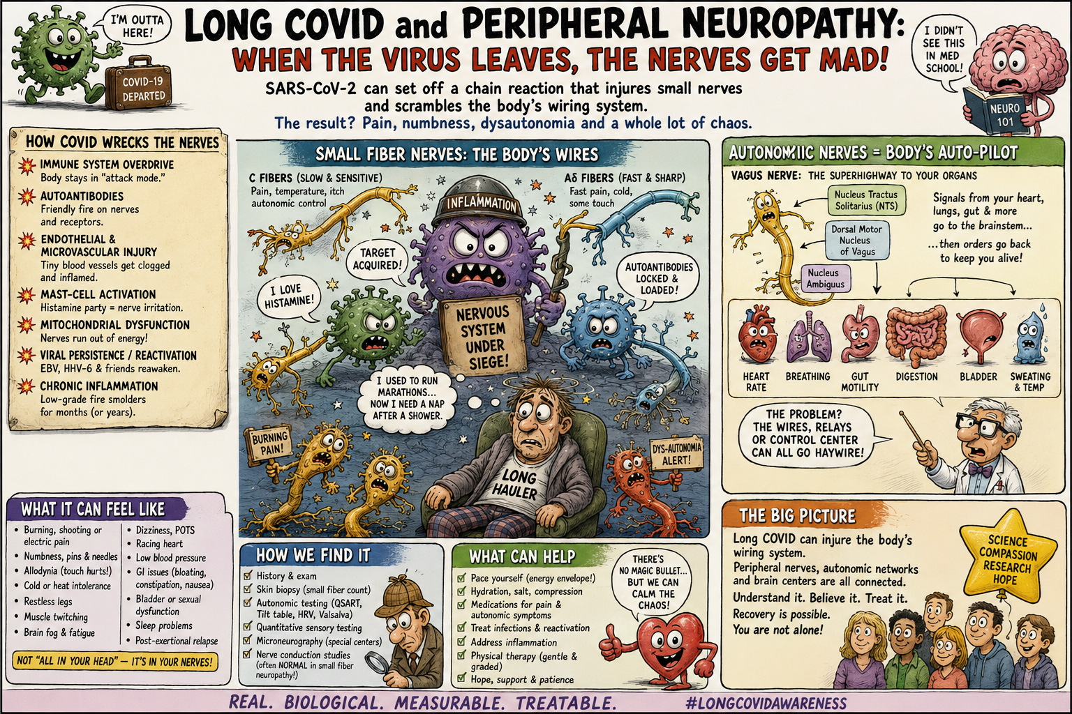 Long COVID and Peripheral Neuropathy